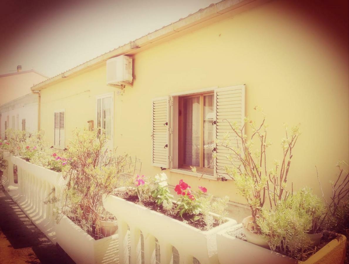 Sa Domu Antiga Villa Solarussa Luaran gambar