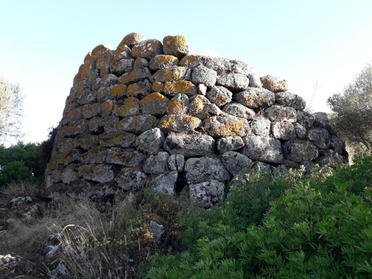 Sa Domu Antiga Villa Solarussa Luaran gambar