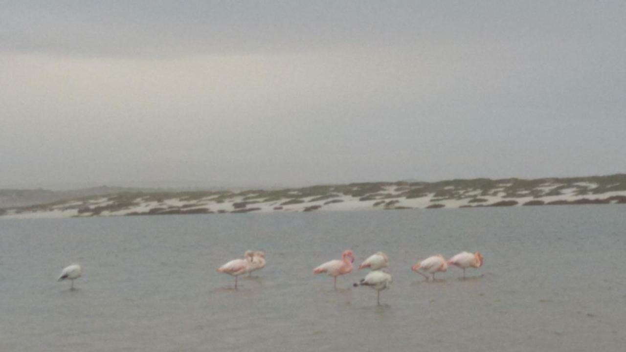 Sa Domu Antiga Villa Solarussa Luaran gambar