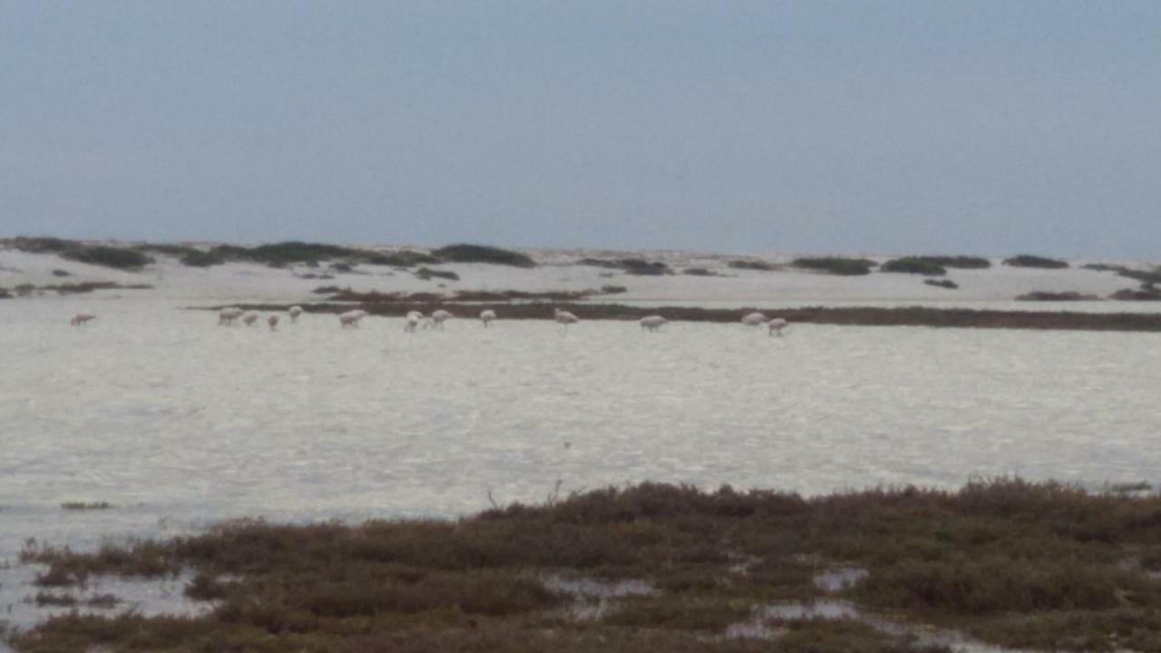 Sa Domu Antiga Villa Solarussa Luaran gambar